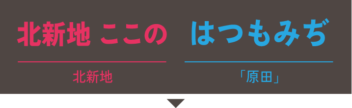 北新地 ここの×はつもみぢ